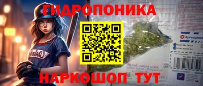 гашик Кунгур