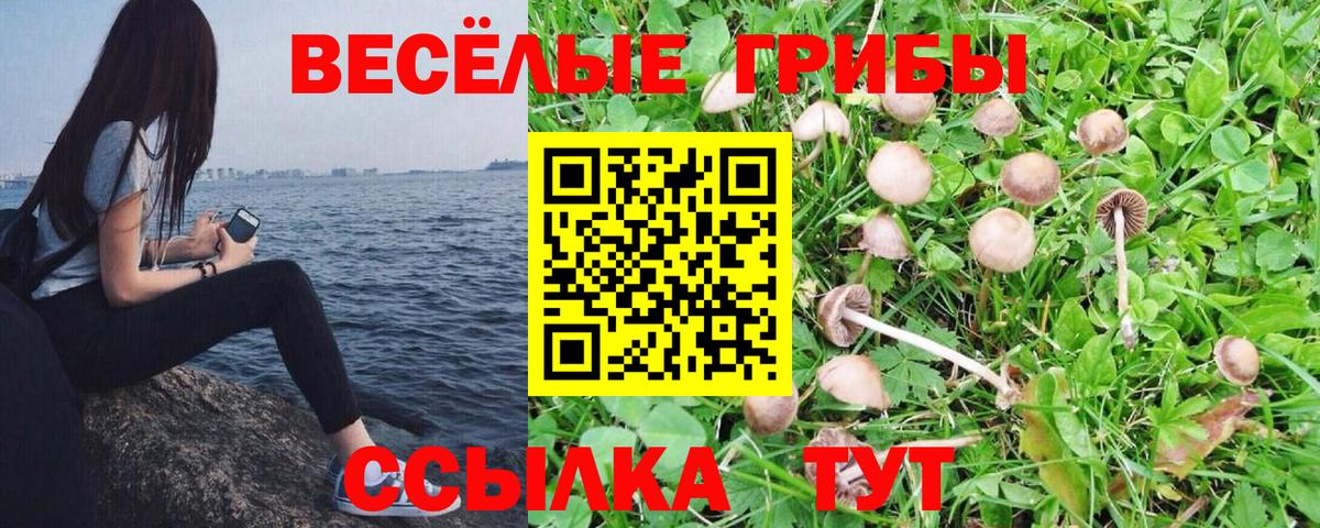 Галлюциногенные грибы ЛСД Гусев